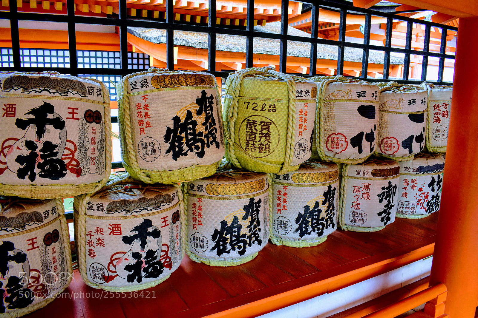 Nikon D3300 sample photo. Dsc photography