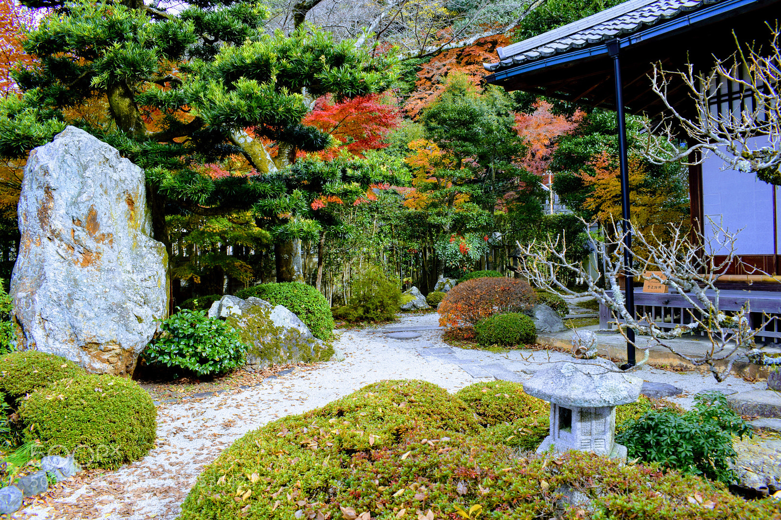 Nikon D3300 sample photo. Dsc photography