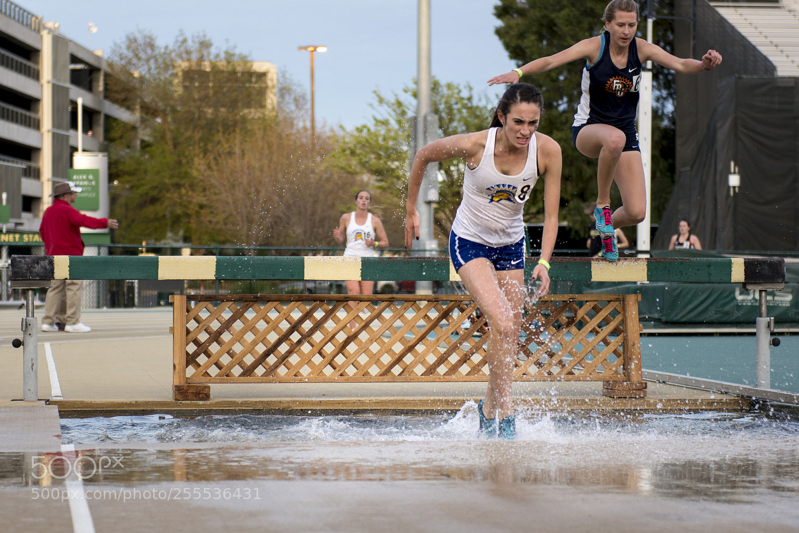 Nikon D610 sample photo. Sac state w steeplechase photography