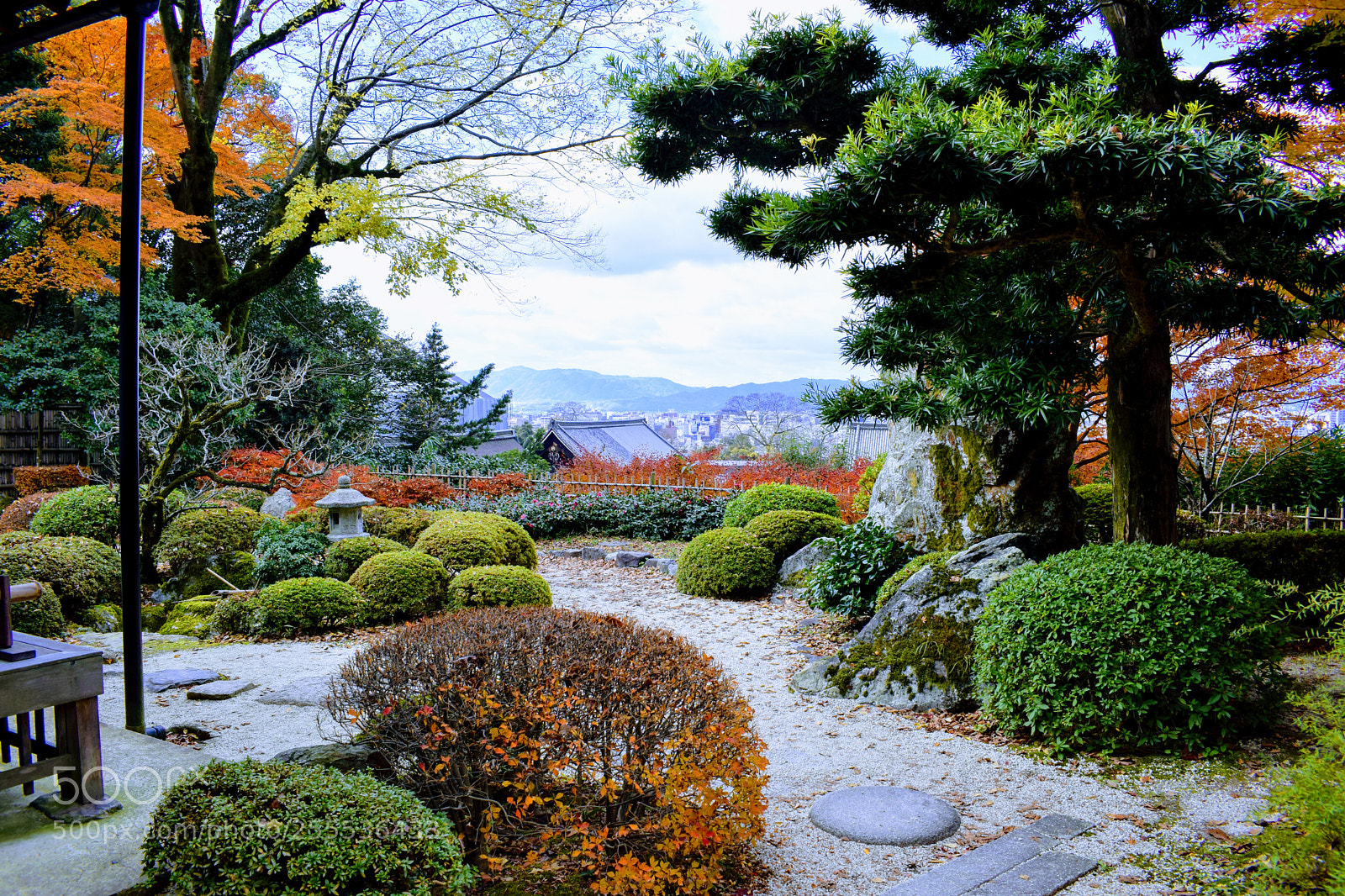Nikon D3300 sample photo. () photography