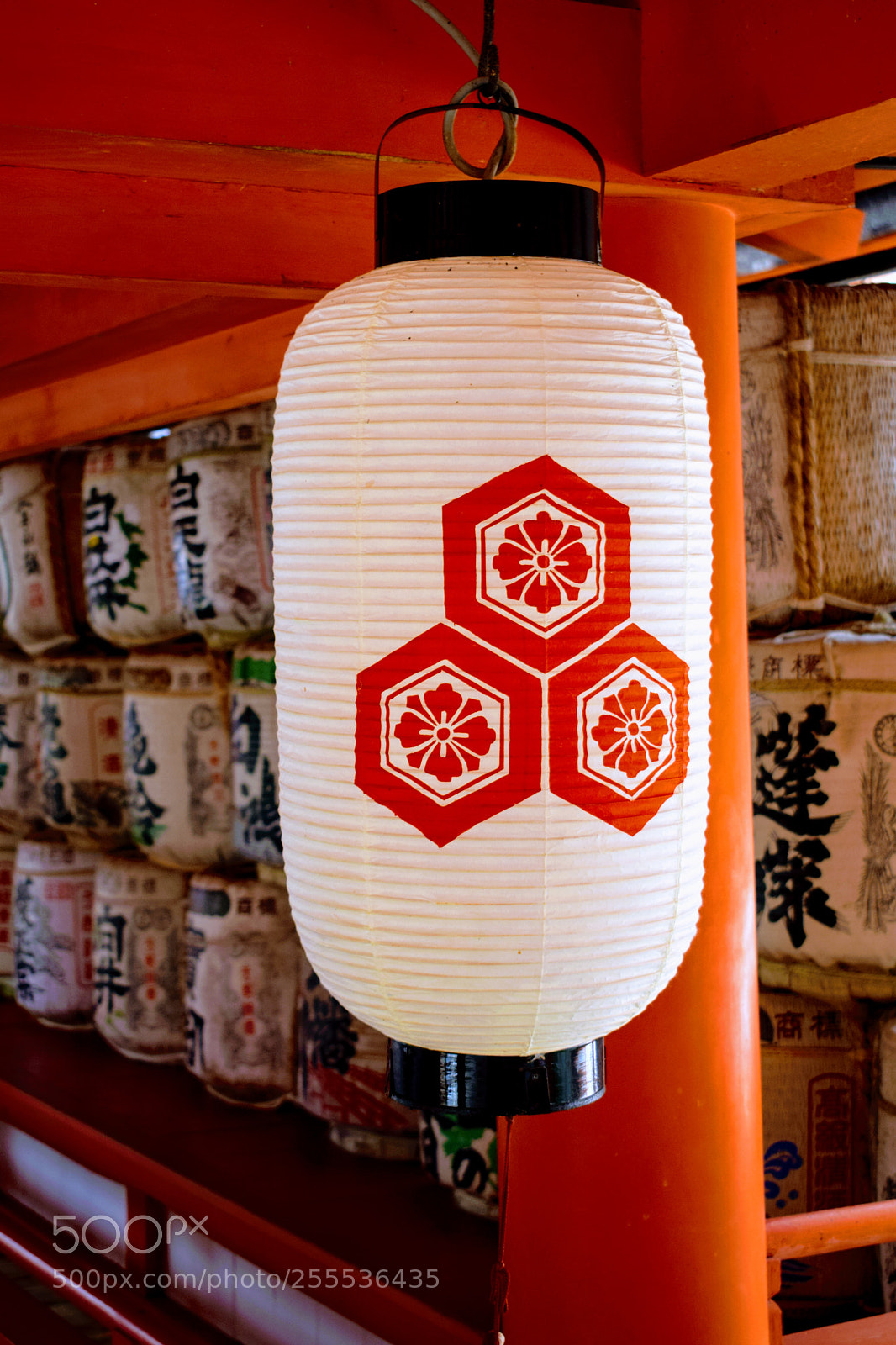 Nikon D3300 sample photo. () photography