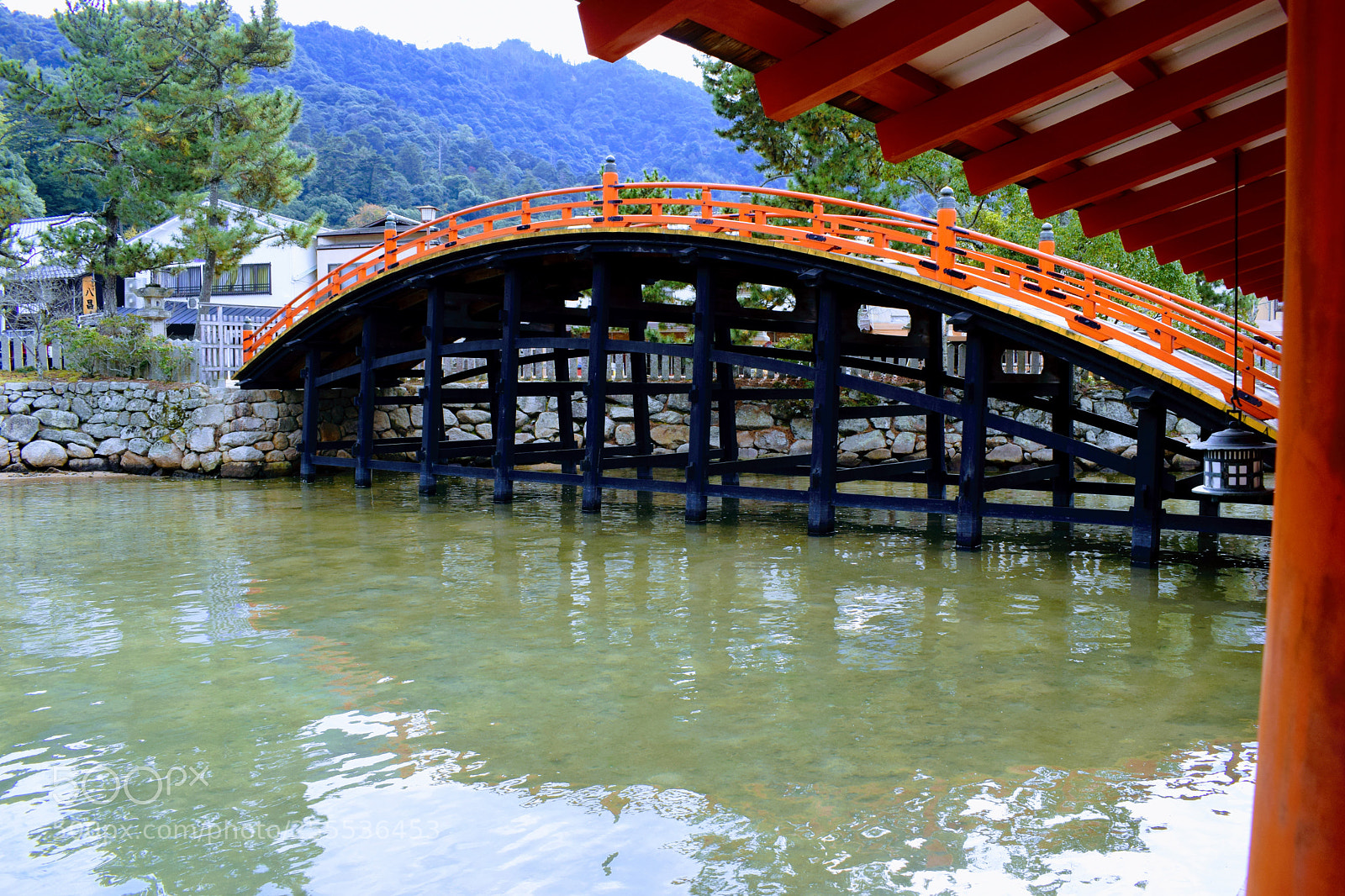 Nikon D3300 sample photo. Dsc photography