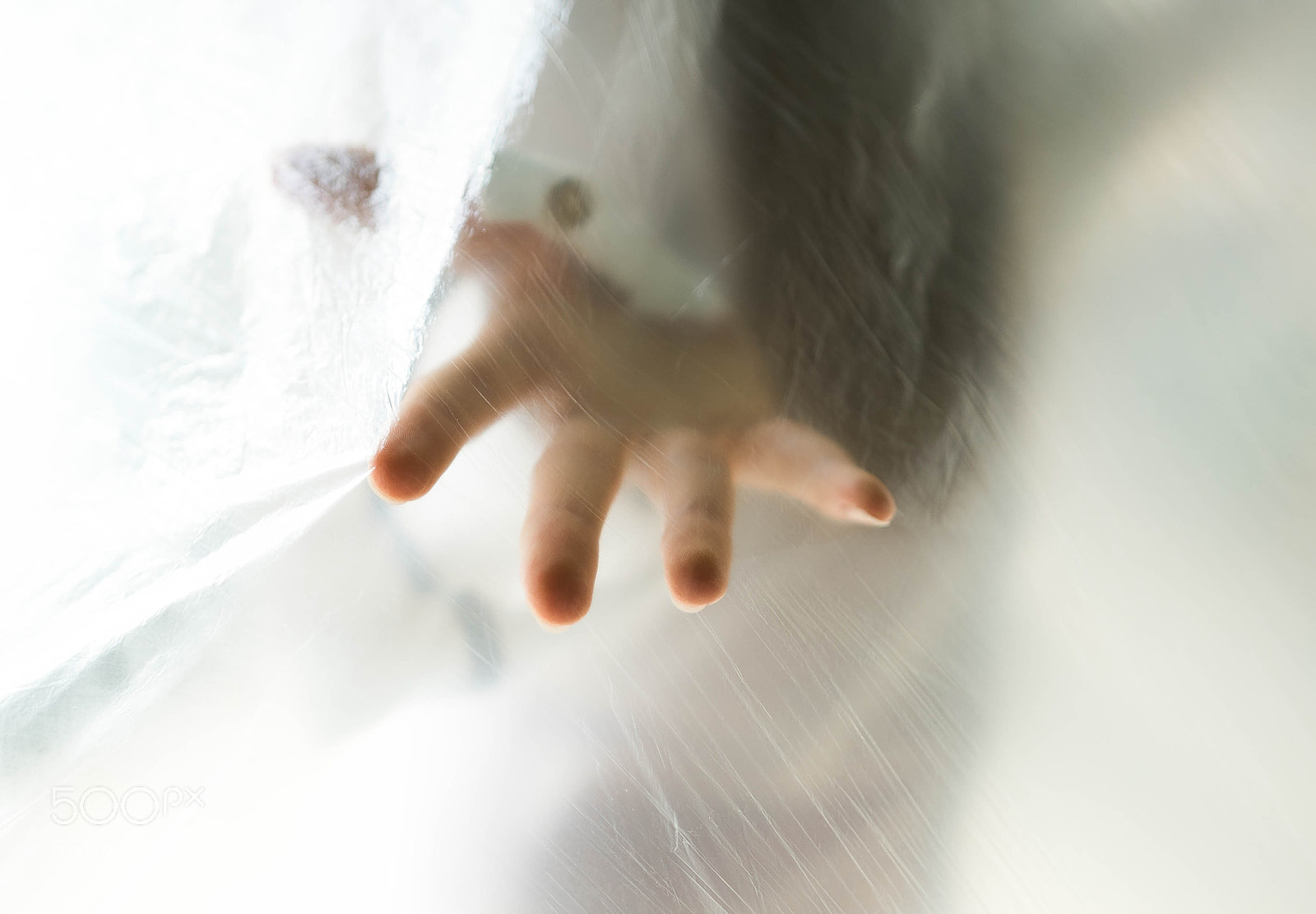 Sony a7 III sample photo. Hand photography
