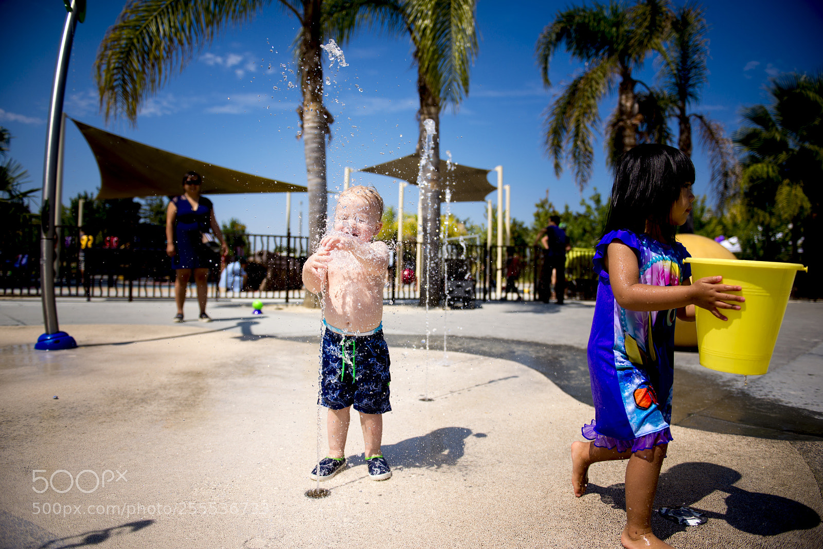 Nikon D610 sample photo. Oli water photography