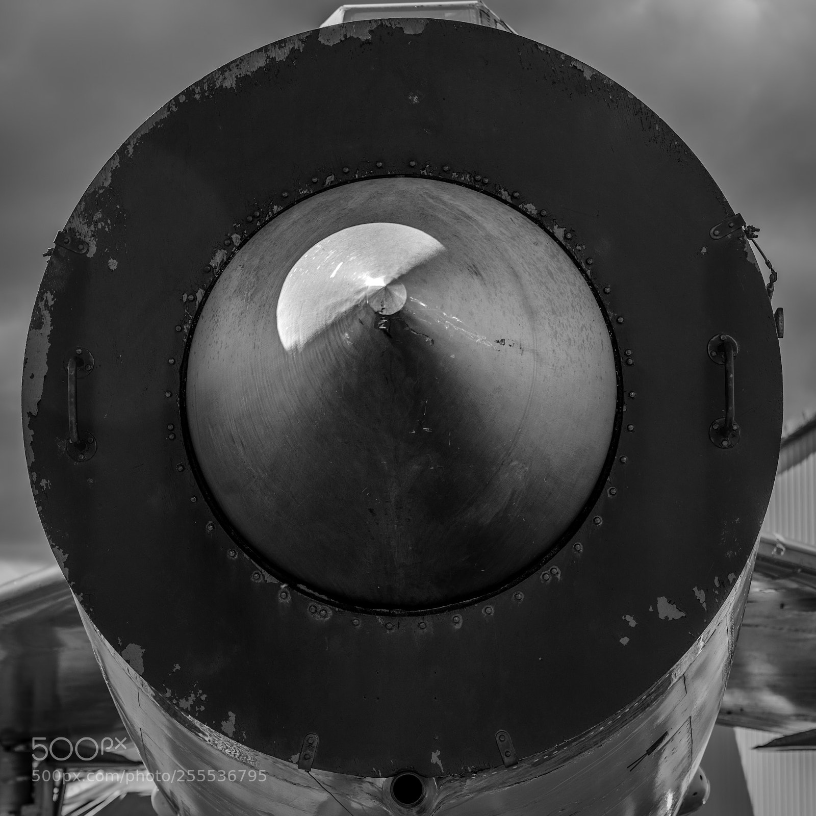 Sony a7R II sample photo. Nosey photography