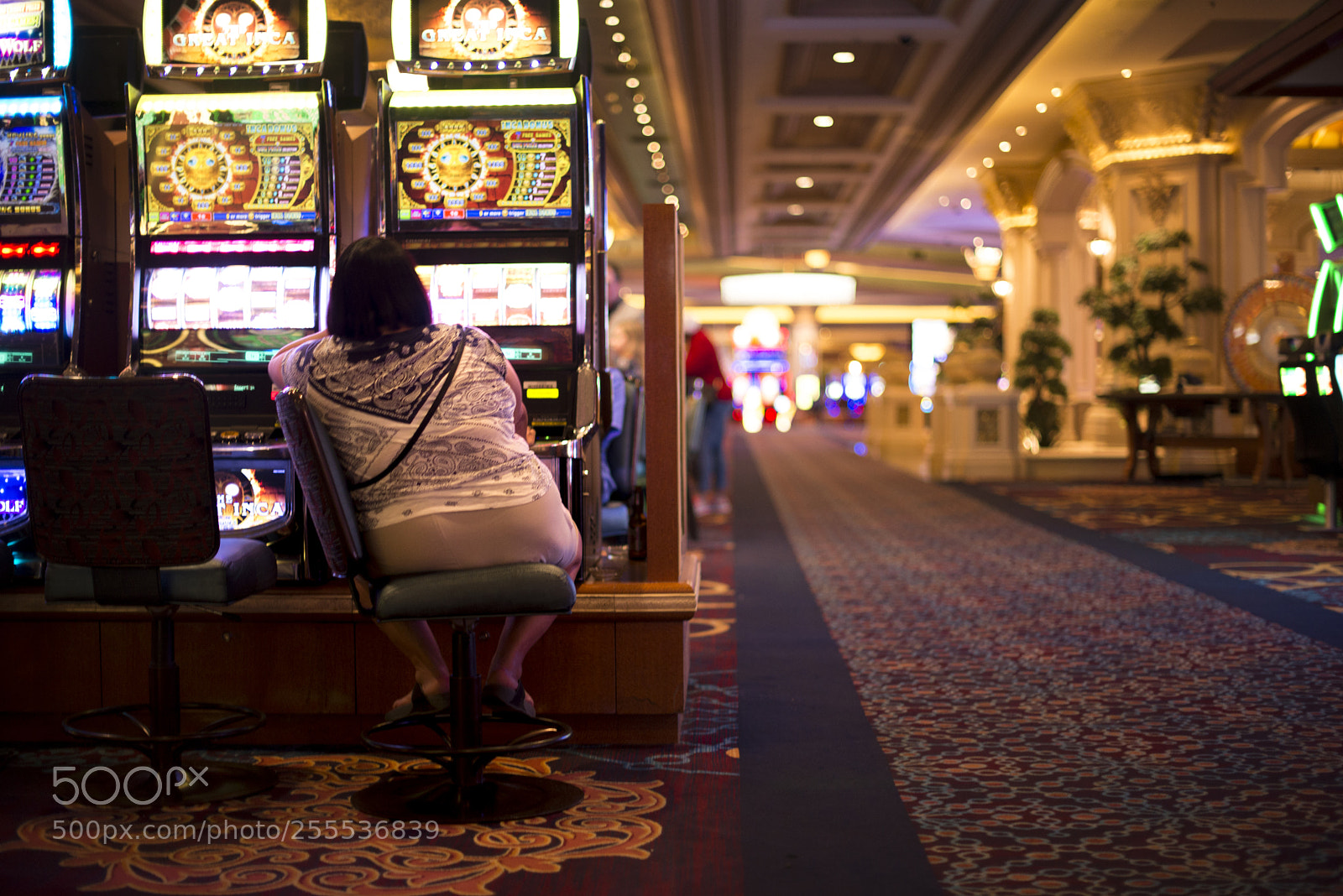 Nikon D610 sample photo. Vegas photography