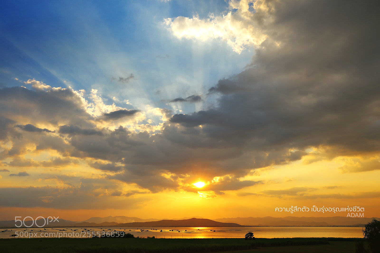Canon EOS 6D sample photo. Untitled photography