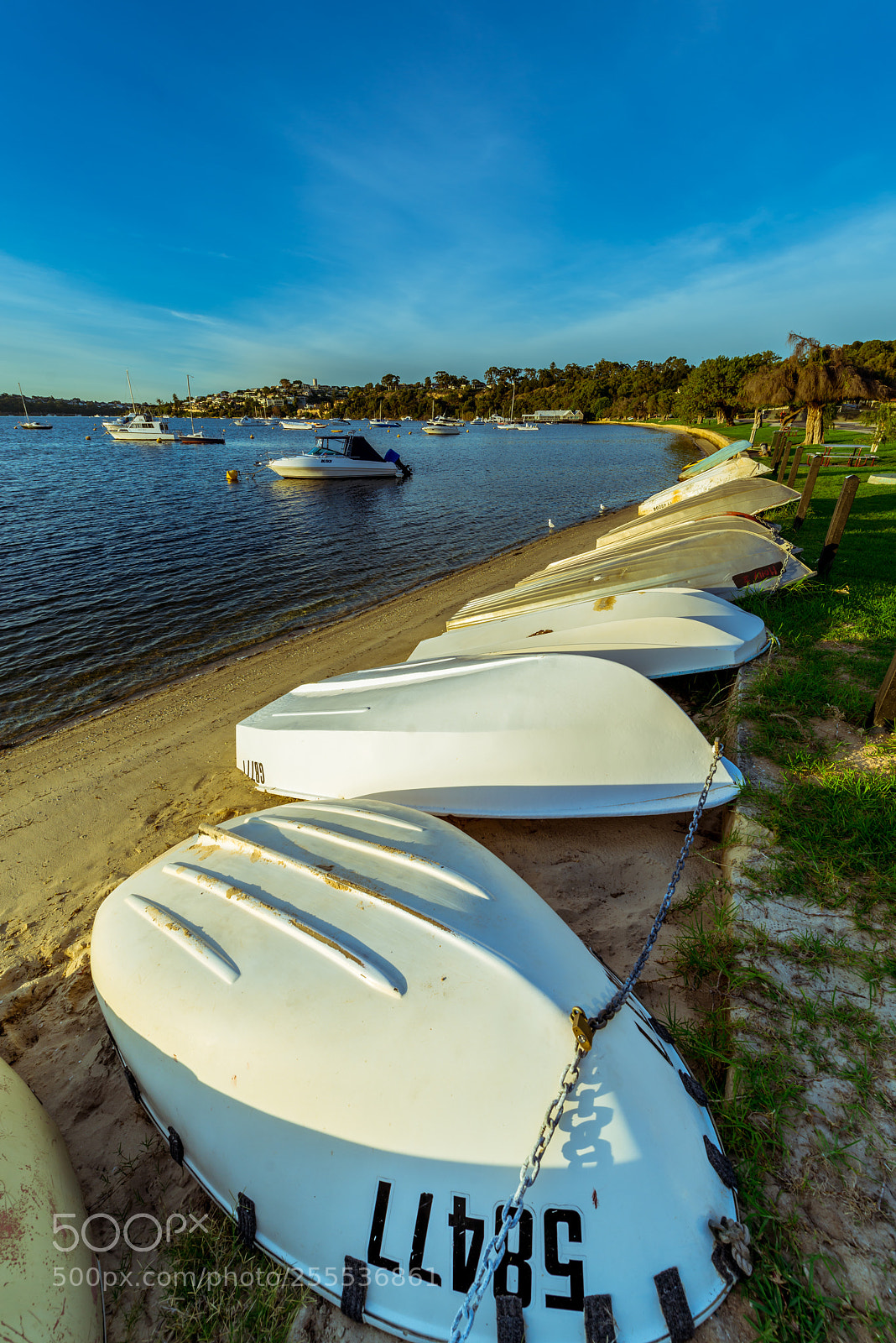 Nikon D800E sample photo. Row boats photography