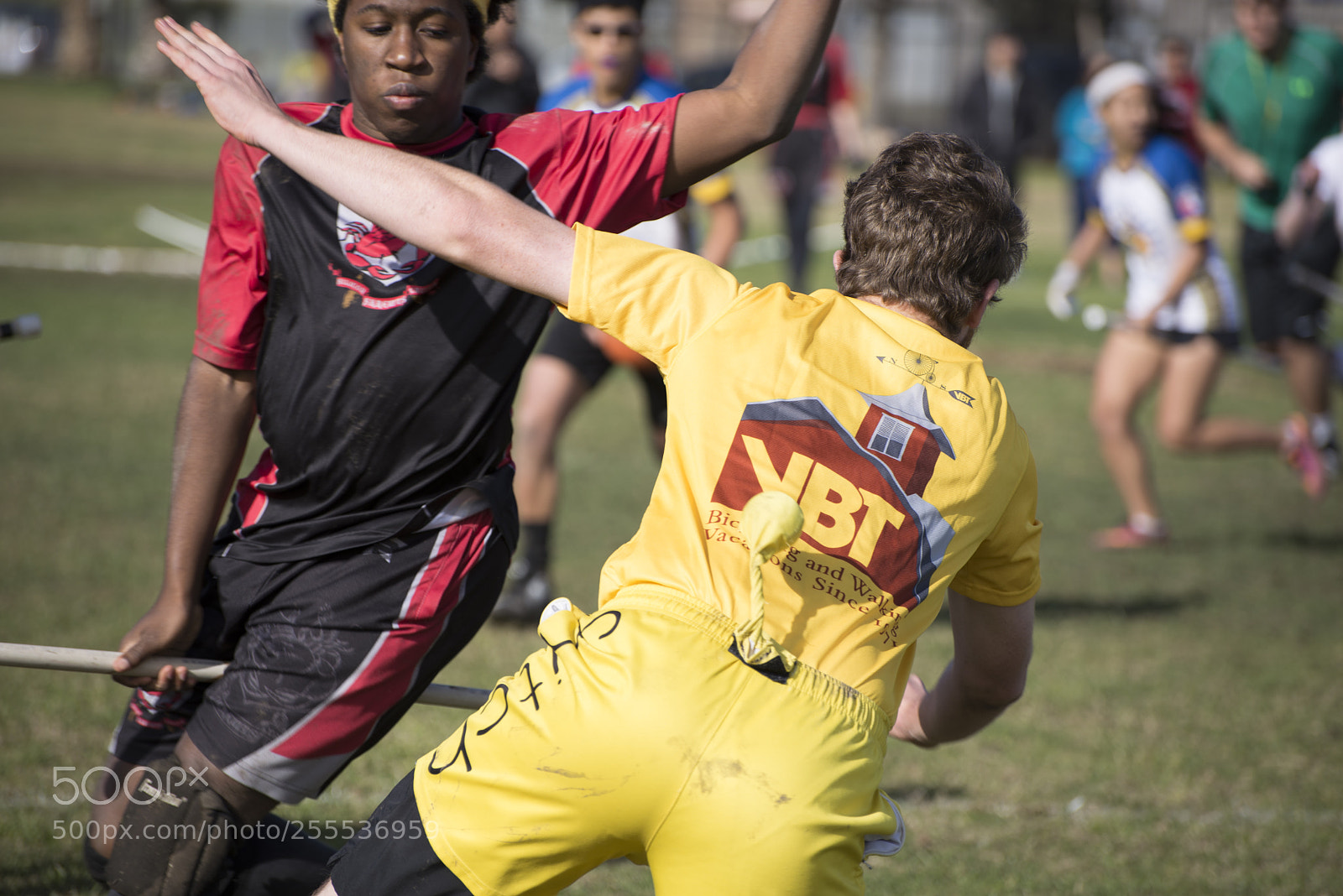 Nikon D610 sample photo. Snitch photography