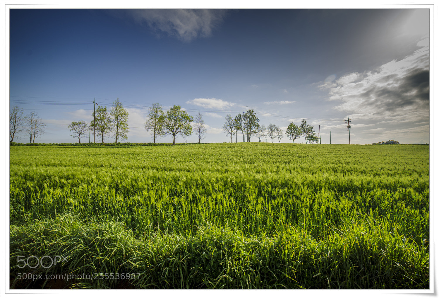 Pentax K-1 sample photo. Img photography