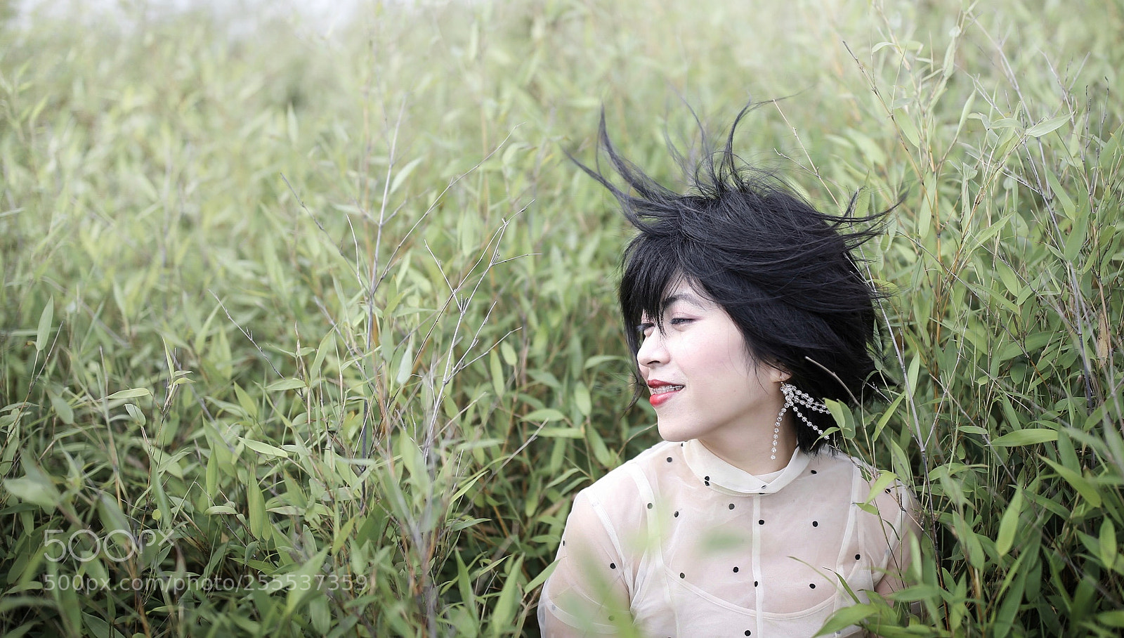 Canon EOS-1D X sample photo. Untitled photography