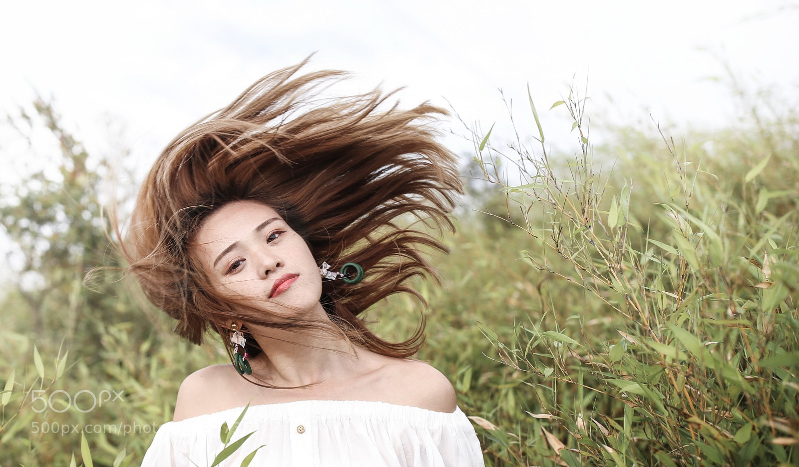 Canon EOS-1D X sample photo. Untitled photography