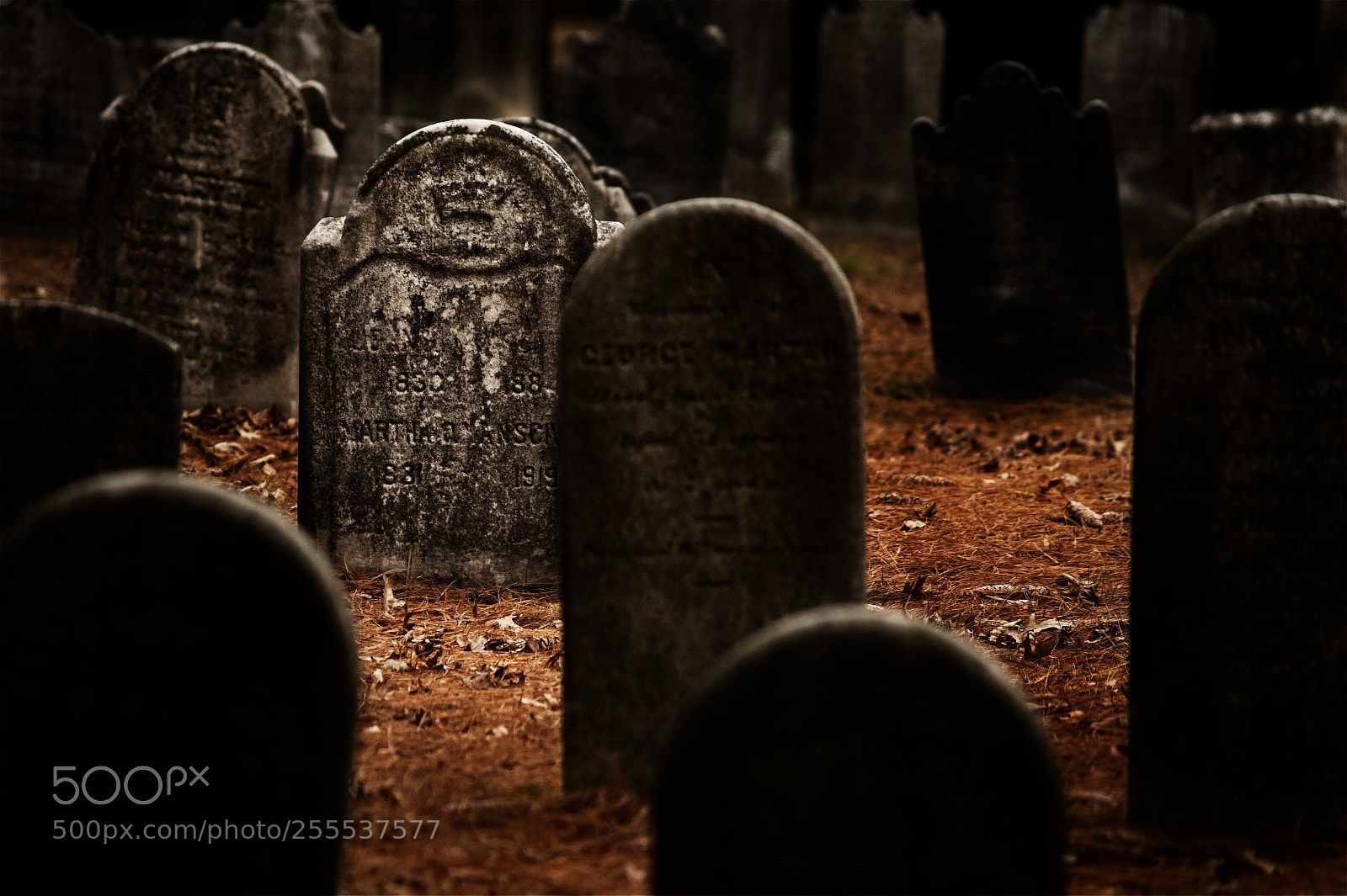 Nikon Df sample photo. Martha's graveyard photography