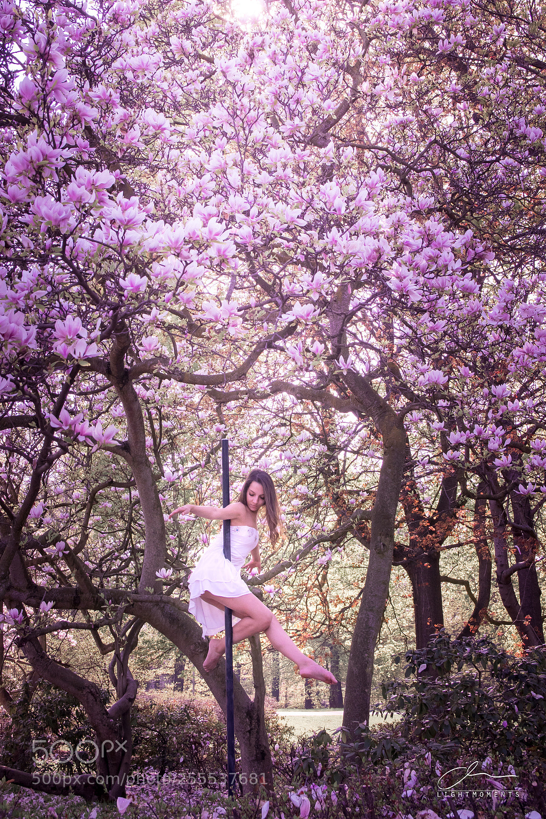 Canon EOS 80D sample photo. Spring poleart ii photography