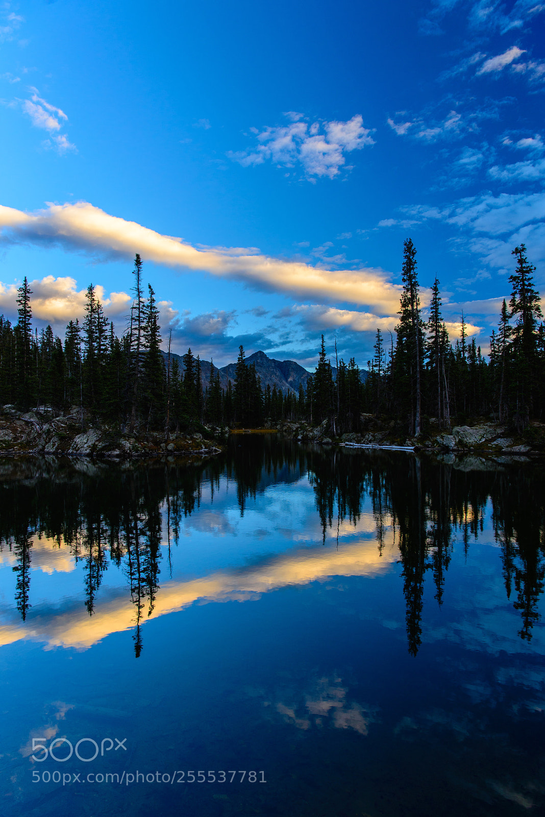 Nikon D600 sample photo. Last reflections  photography