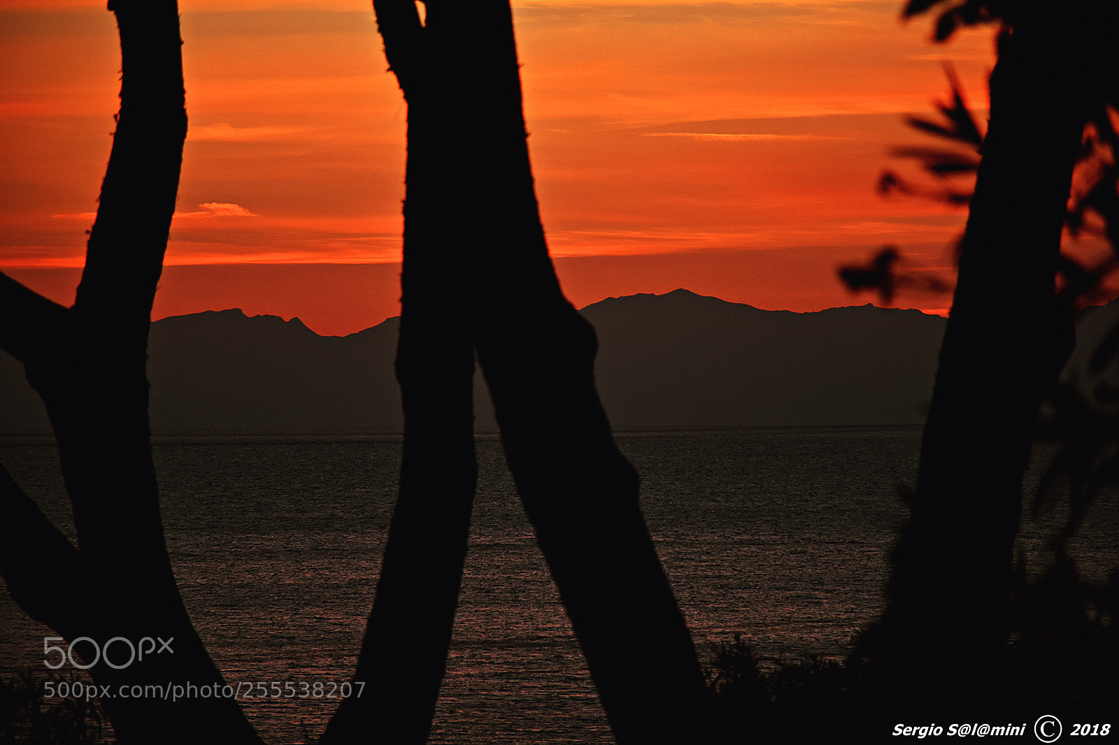 Nikon D7200 sample photo. Sight of corsica from photography