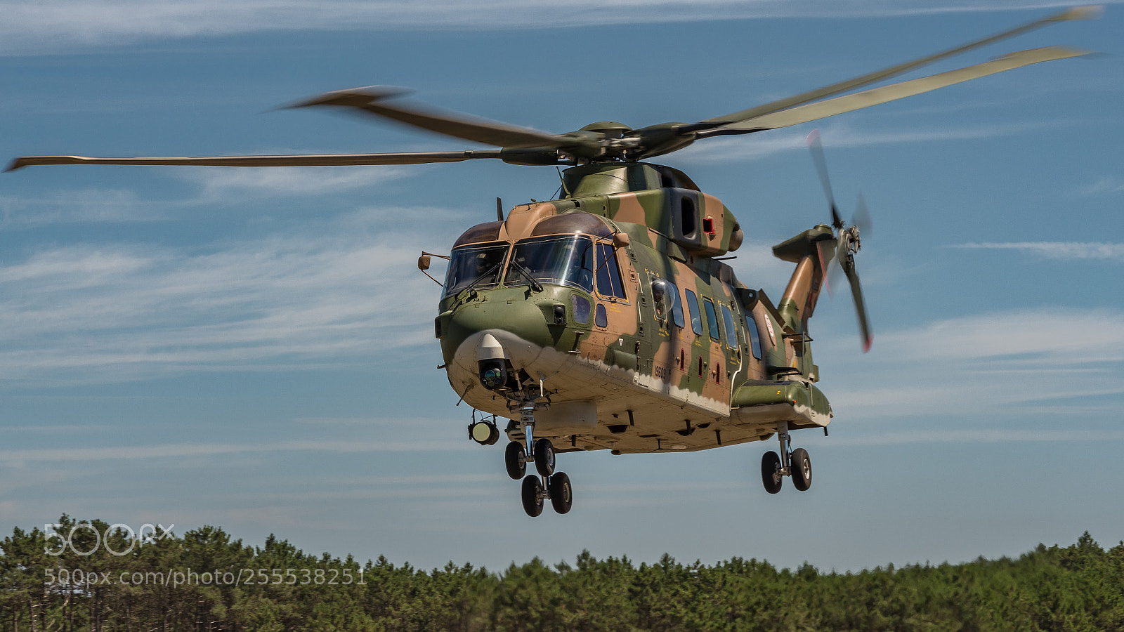 Nikon D600 sample photo. Poaf aw eh-101 merlin 19609 photography