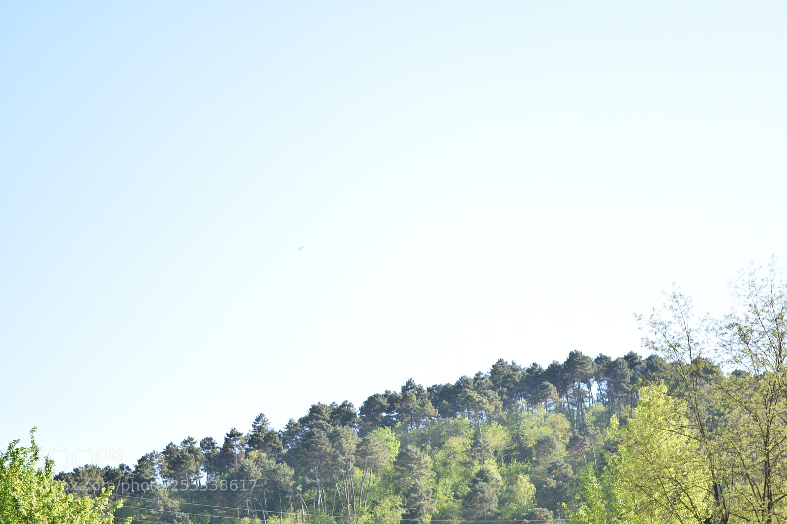 Nikon D3300 sample photo. Similpaint photography