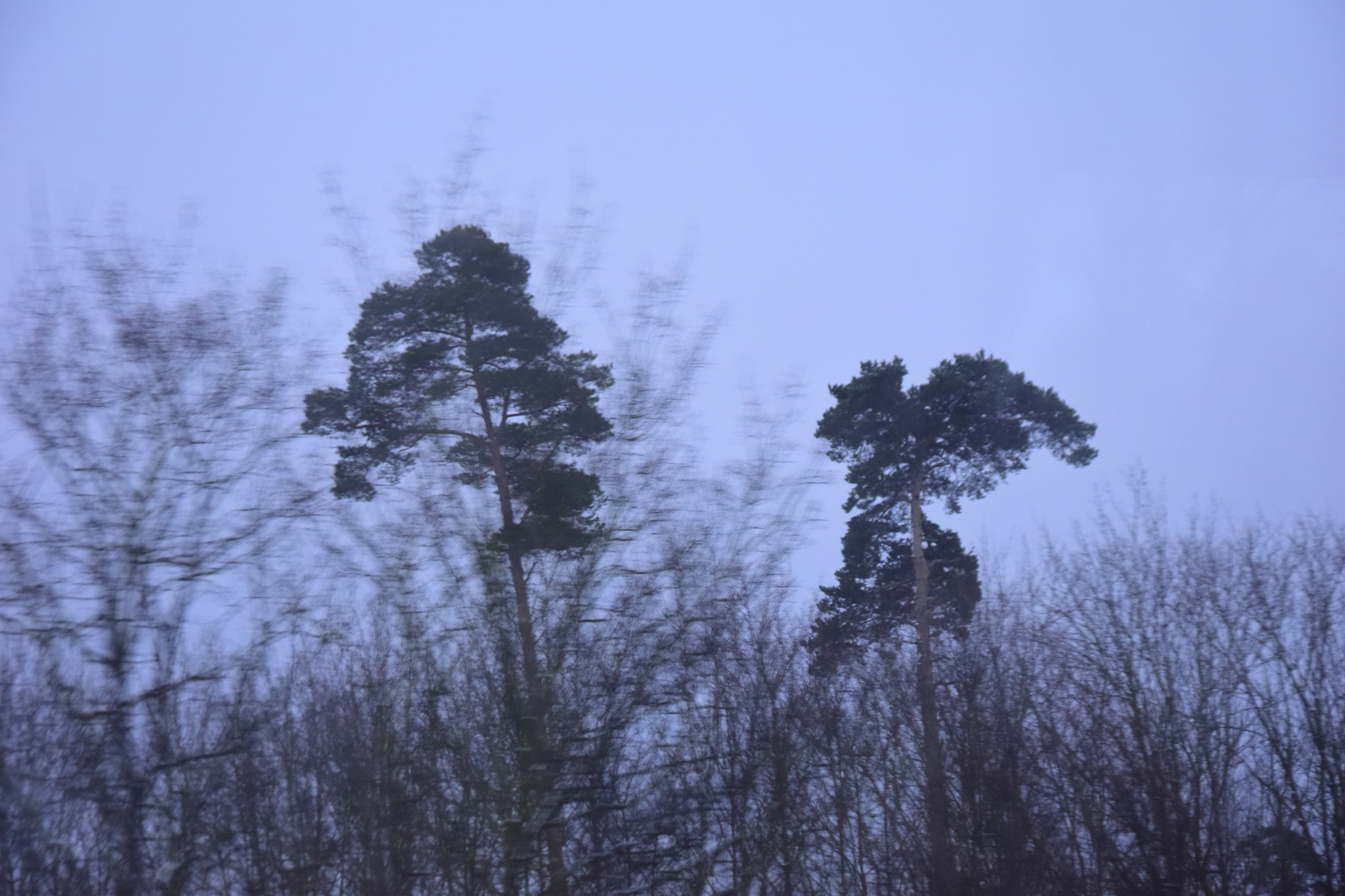 Nikon D5300 sample photo. Two photography