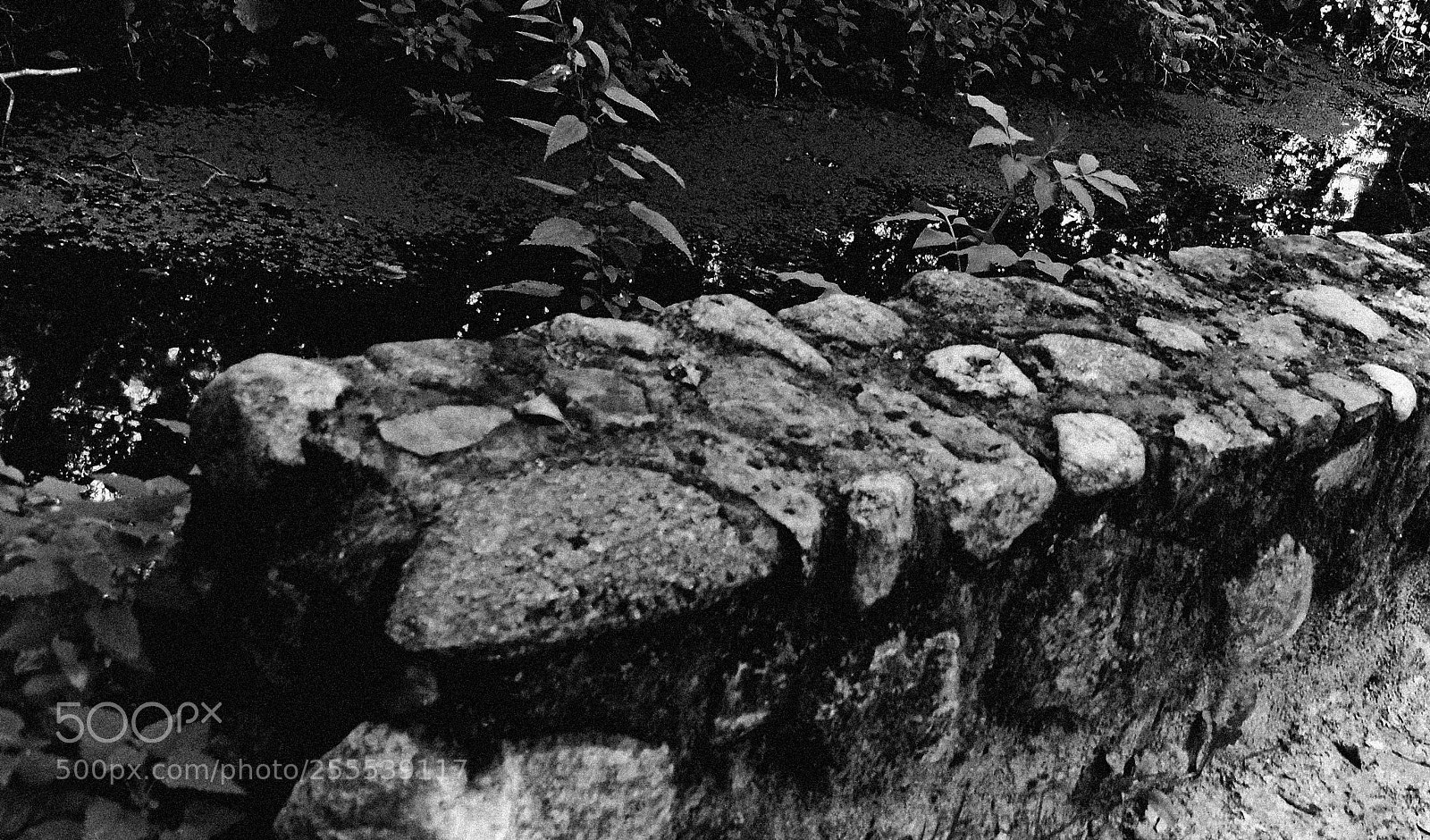 Nikon D5200 sample photo. Bridge, biskupin, area of photography
