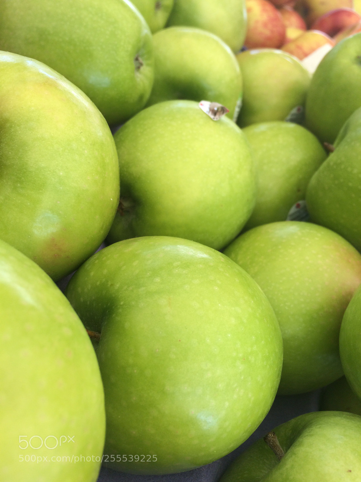 Apple iPhone 5s sample photo. Untitled photography
