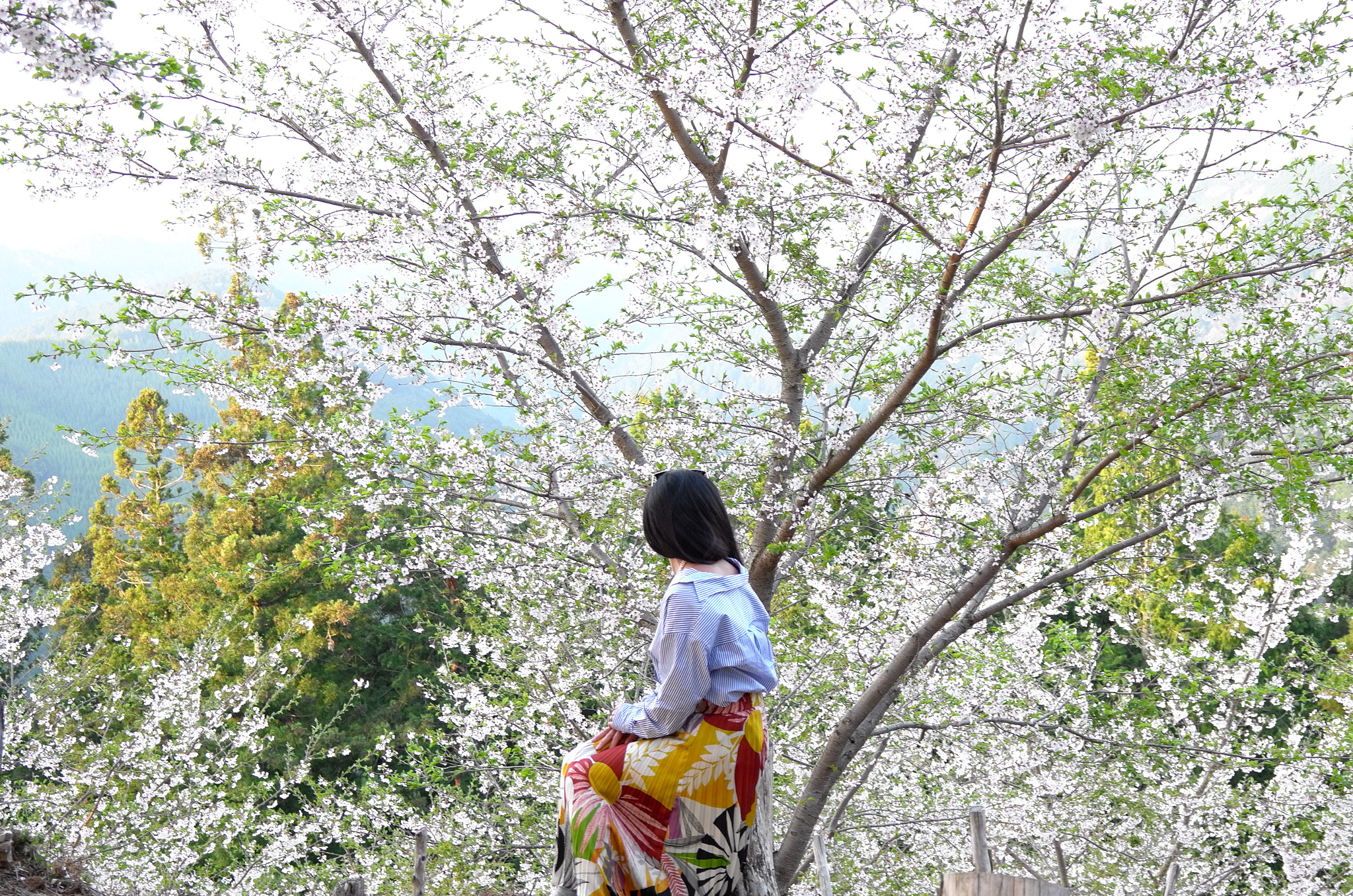 Leica X Vario sample photo. Waiting photography