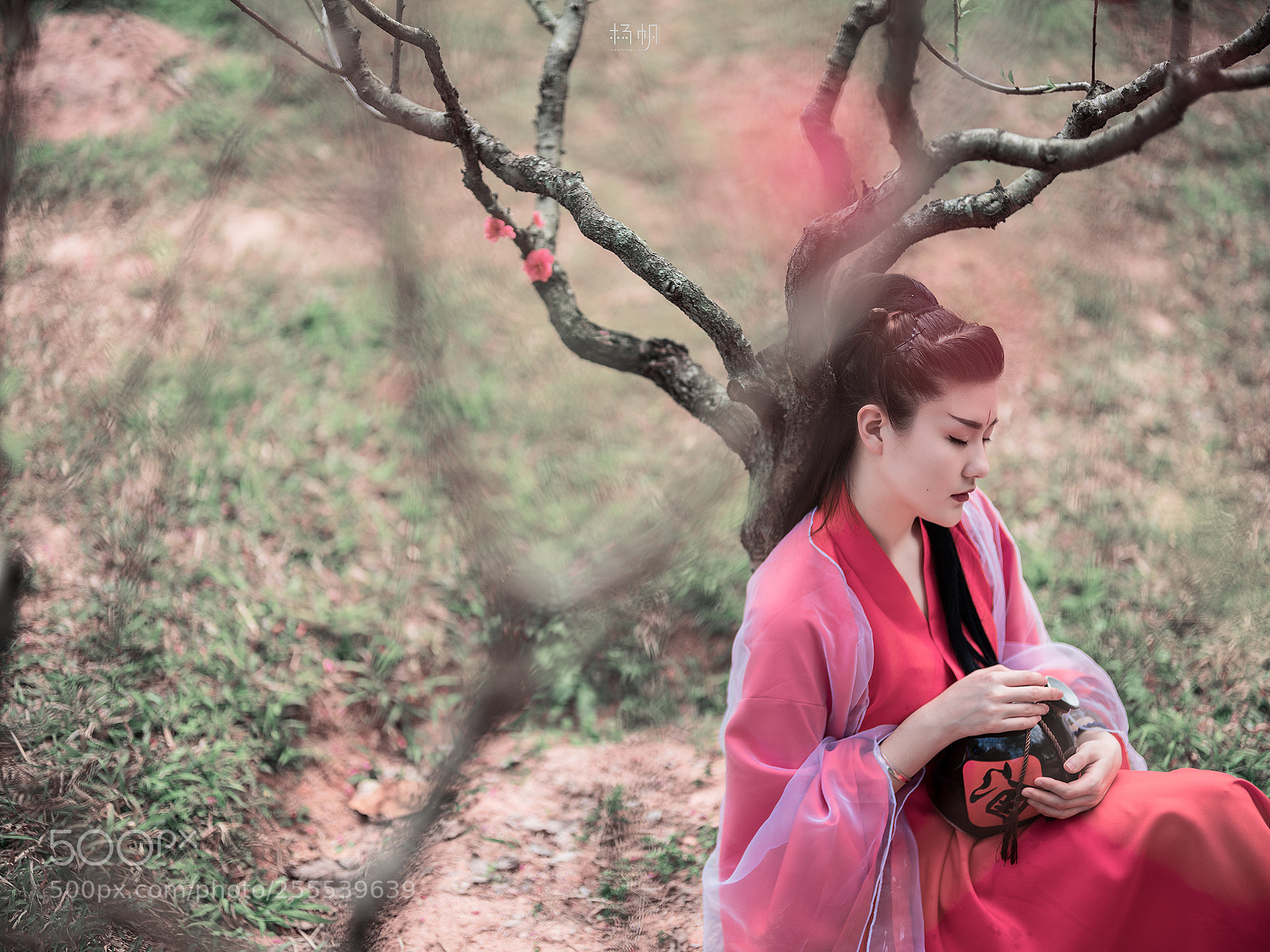 Fujifilm GFX 50S sample photo. 醉。桃花 photography