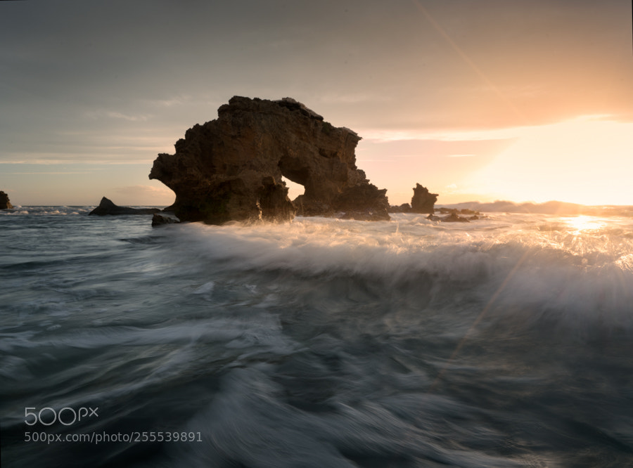 Sony a7R II sample photo. Mornington peninsula seascape photography