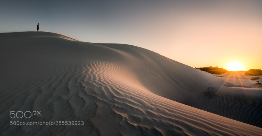 Sony a7R II sample photo. Standing alone photography