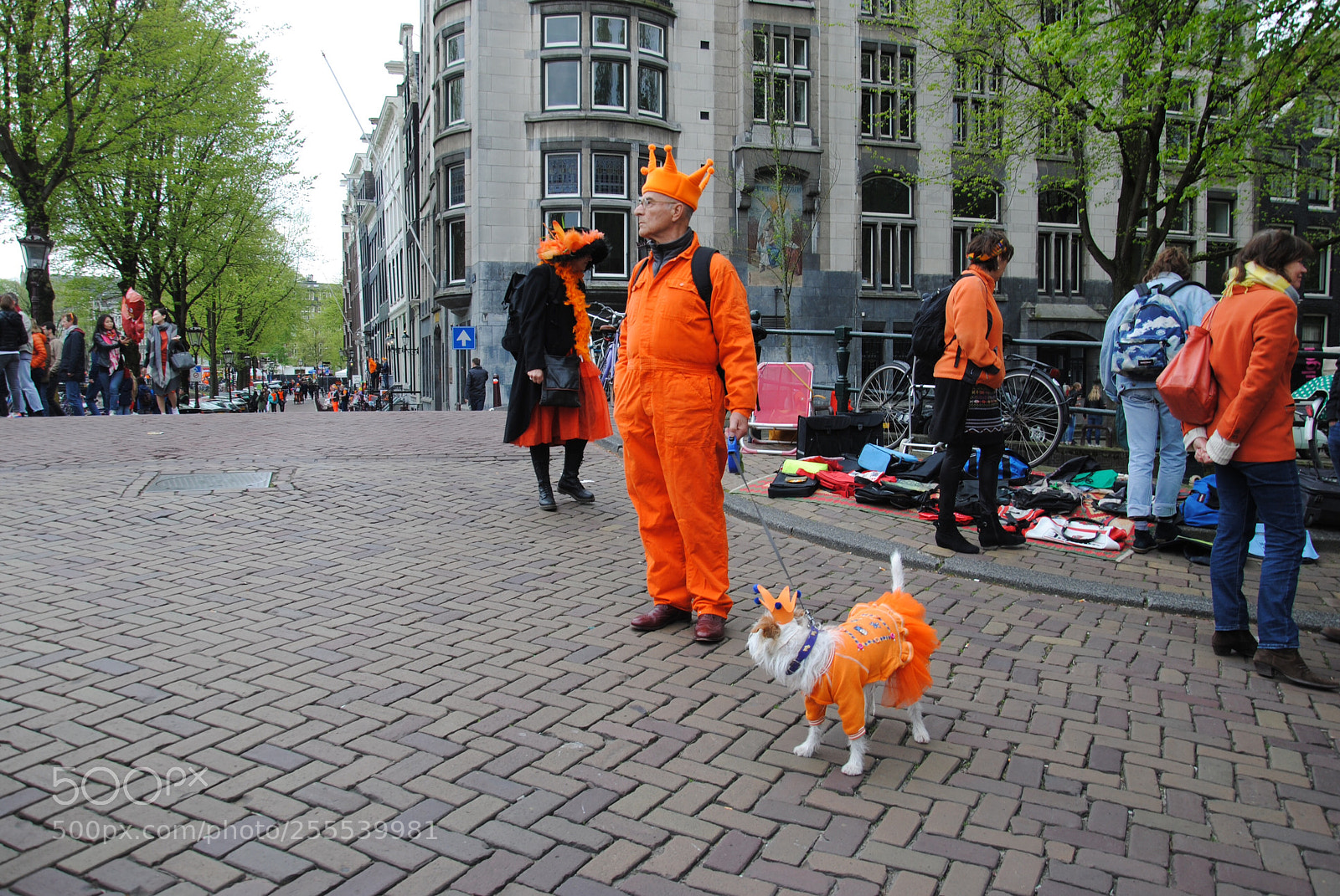 Nikon D3000 sample photo. Slingshot diaries - kingsdays.amsterdam photography