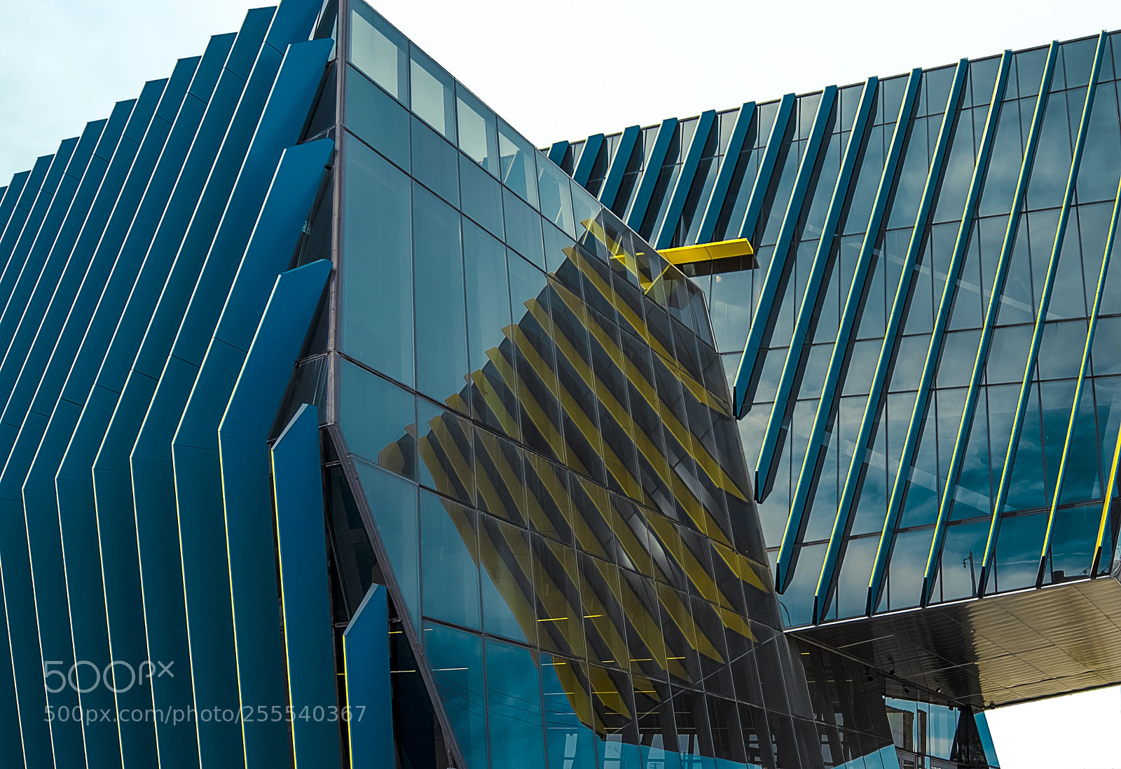 Nikon D610 sample photo. Parallel secession photography