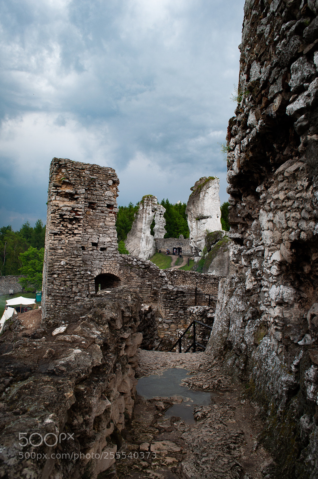Nikon D5000 sample photo. Ogrodzieniec castle photography