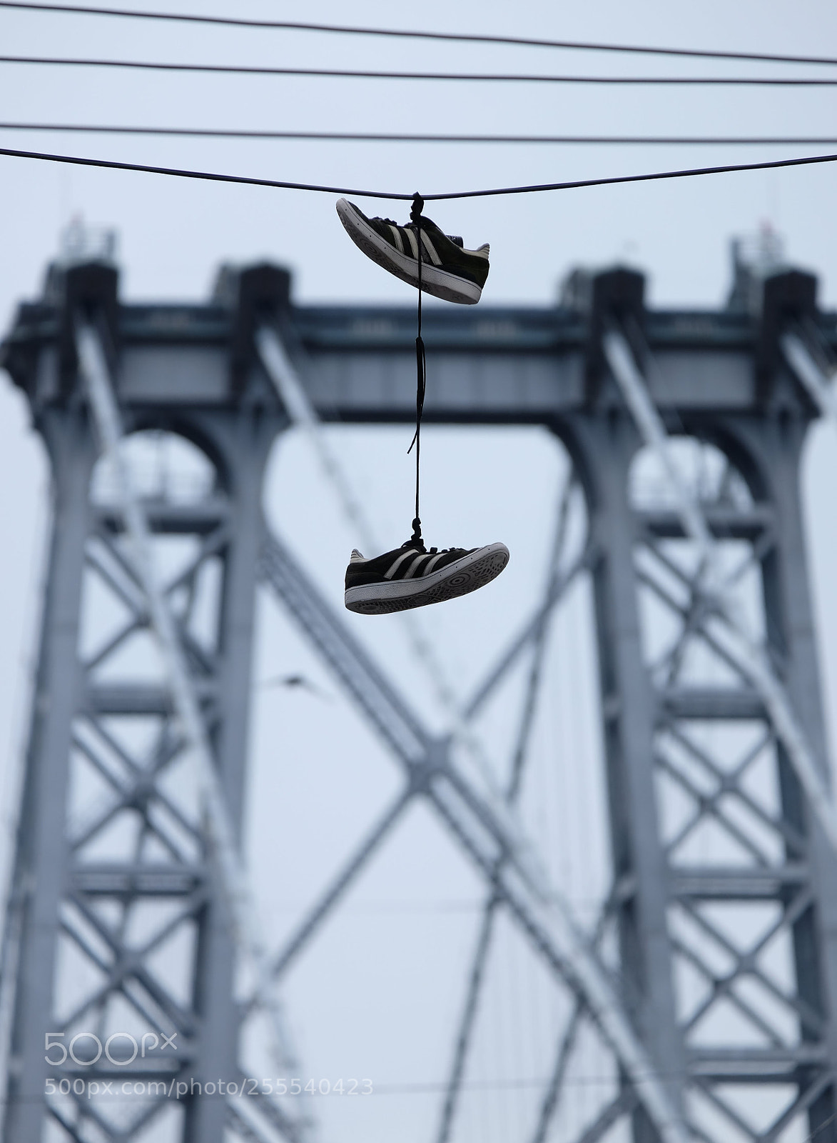 Fujifilm X-T10 sample photo. Shoes on a wire photography