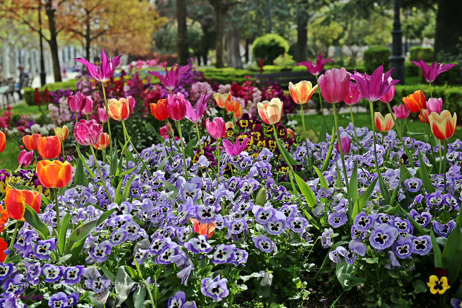 Canon EF 24-70mm F4L IS USM sample photo. Img photography