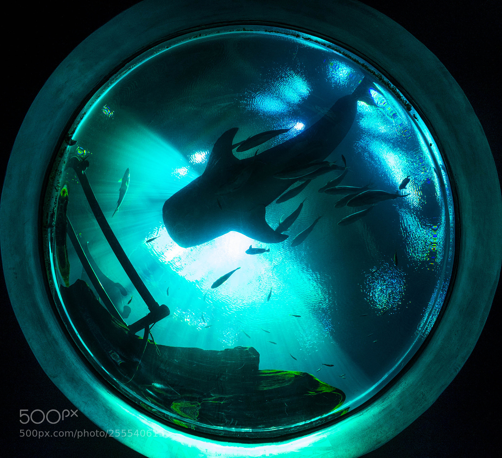 Fujifilm X-T10 sample photo. Portal to another world photography