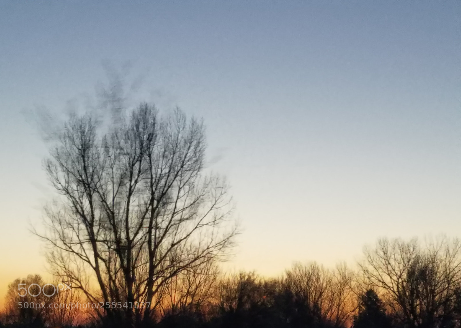 Samsung Galaxy S7 sample photo. First light photography