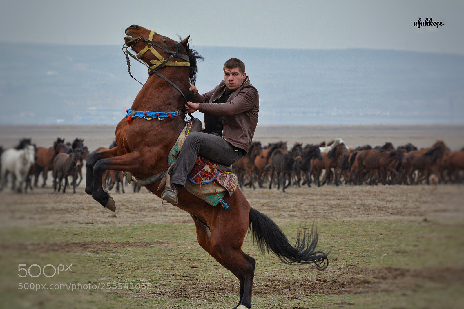 Nikon D5200 sample photo. Untitled photography