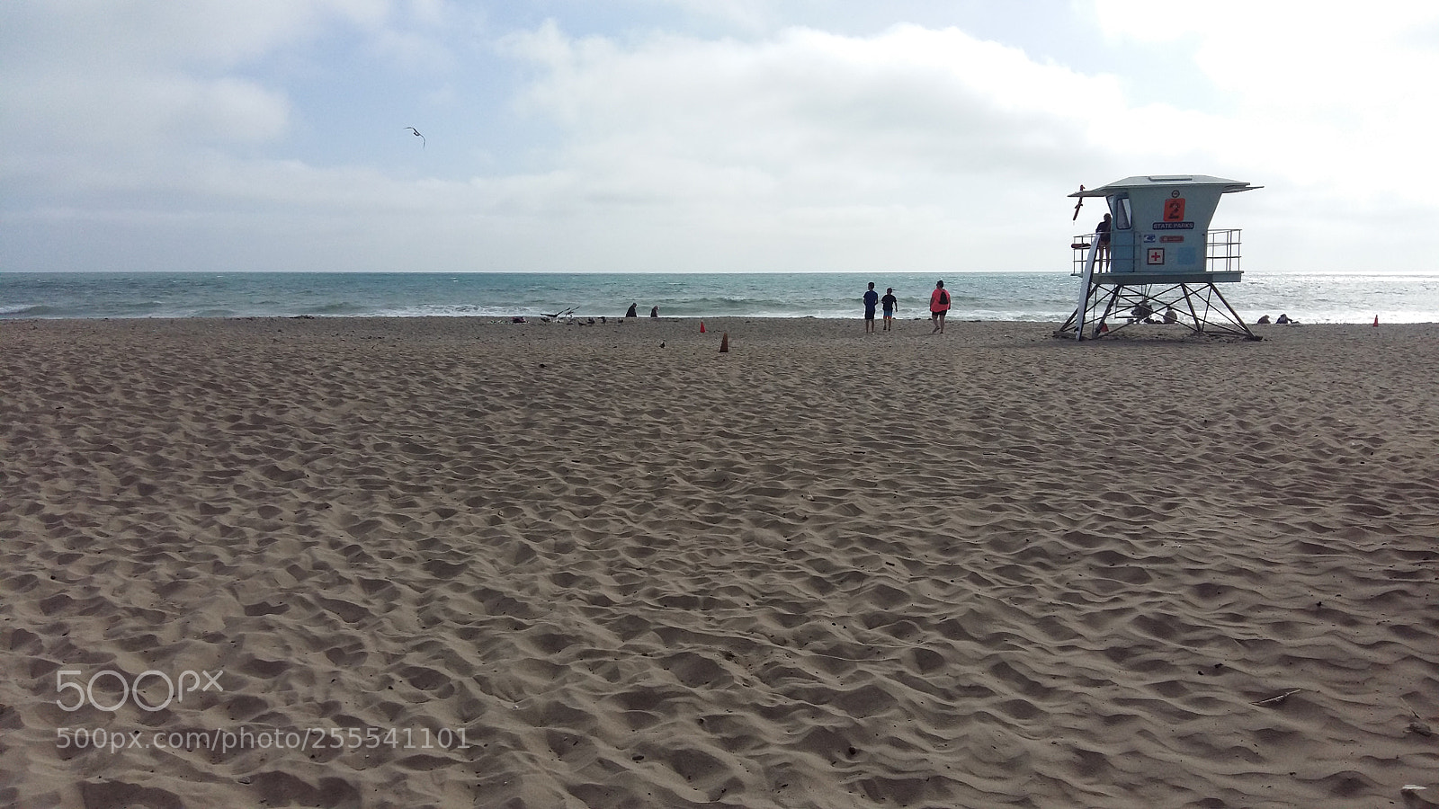 Samsung Galaxy A5 sample photo. San jose safeguard photography
