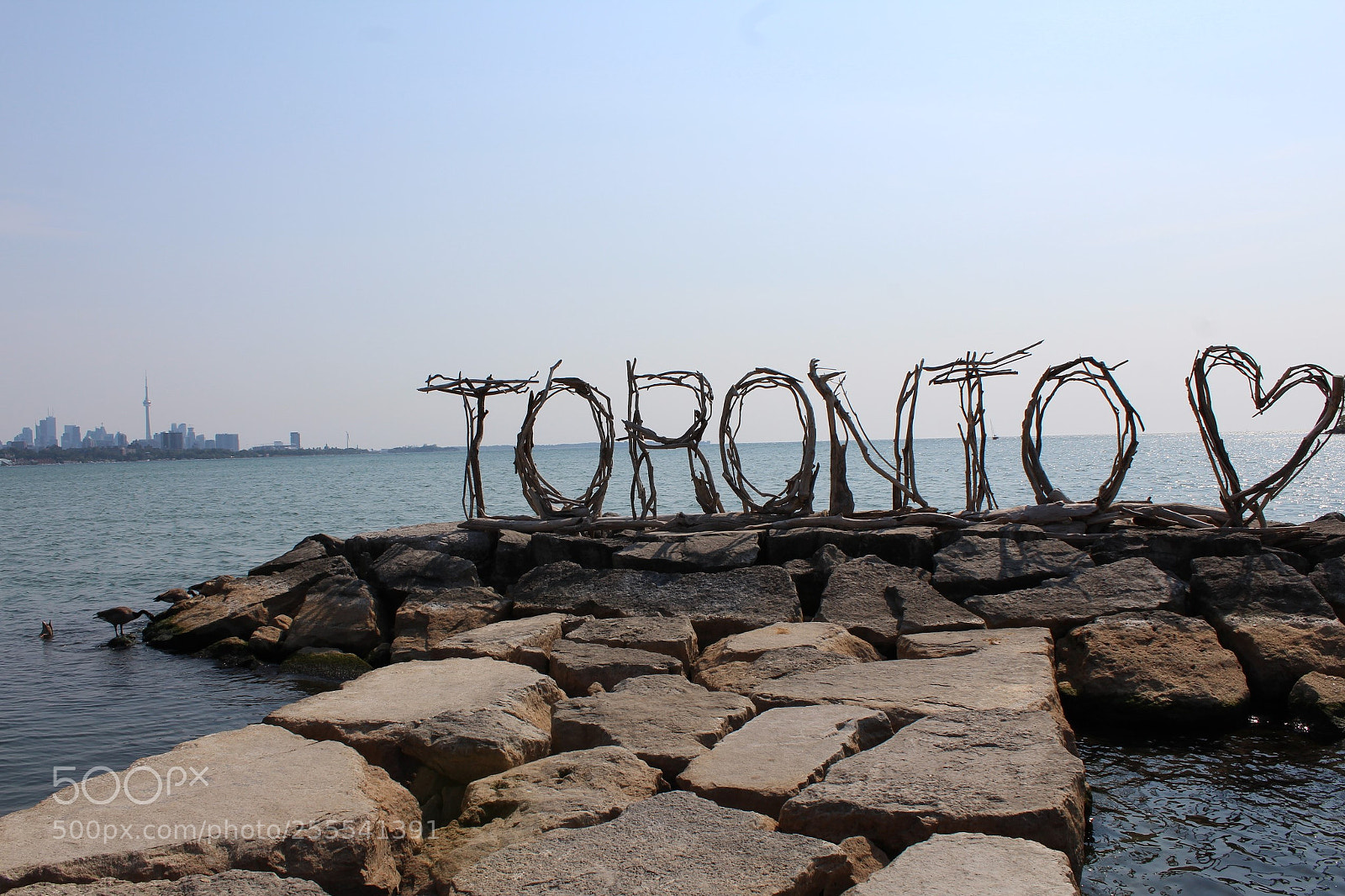 Canon EOS 1200D (EOS Rebel T5 / EOS Kiss X70 / EOS Hi) sample photo. Downtown toronto, summer 2017 photography
