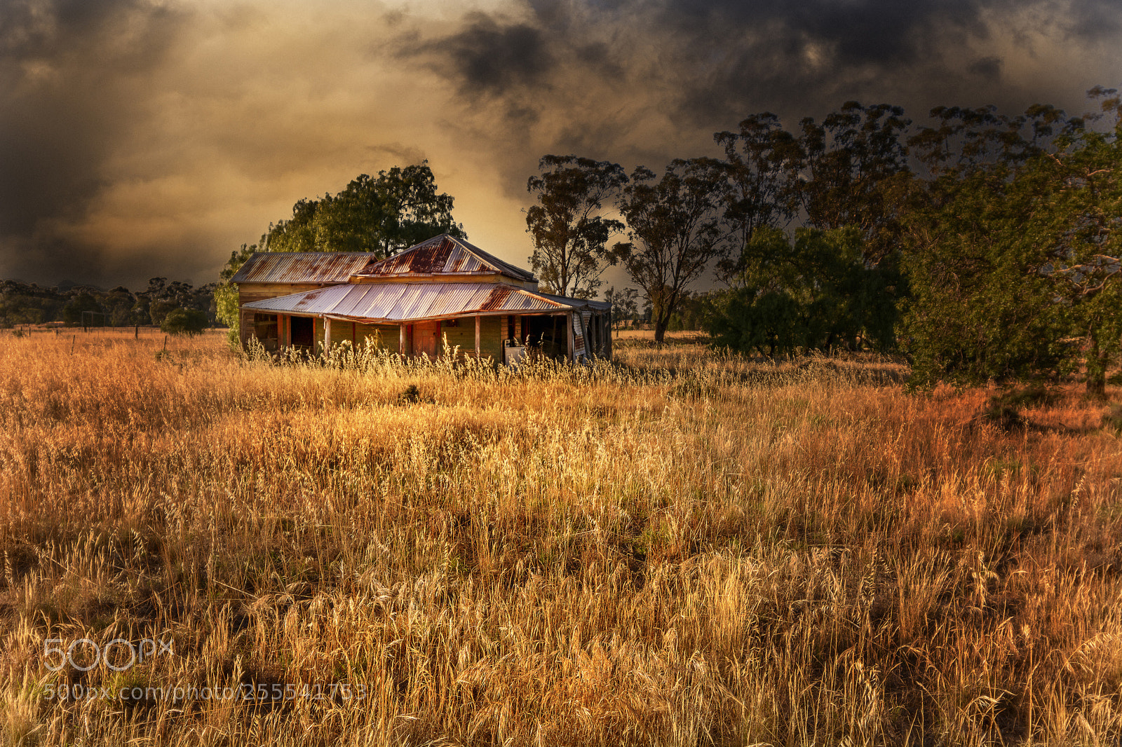 Nikon D7100 sample photo. Old farm house. photography