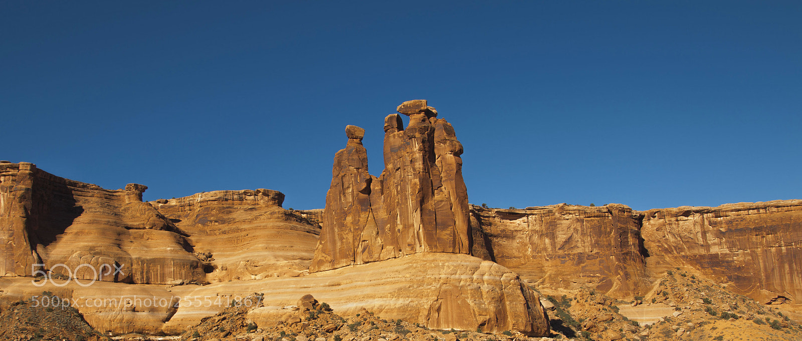 Canon EOS 70D sample photo. The three gossips photography