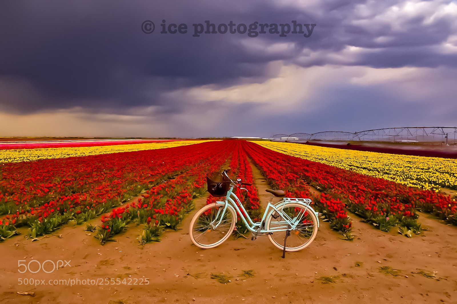 Nikon D7200 sample photo. Bicycle  photography