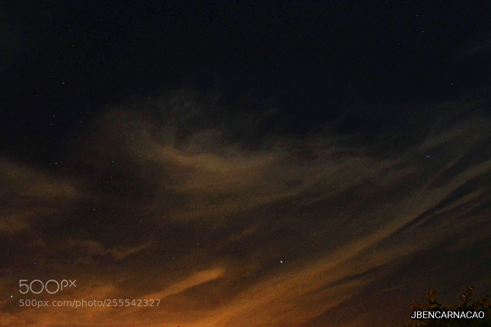 Nikon D5600 sample photo. Skynight photography