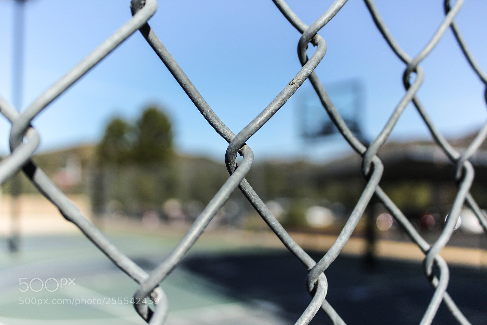 Canon EOS 1200D (EOS Rebel T5 / EOS Kiss X70 / EOS Hi) sample photo. Pictures on campus photography