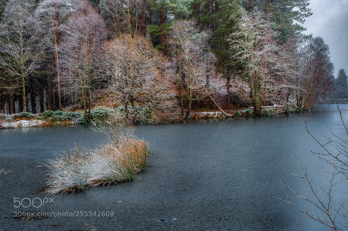 Fujifilm X-T2 sample photo. Frozen pond photography