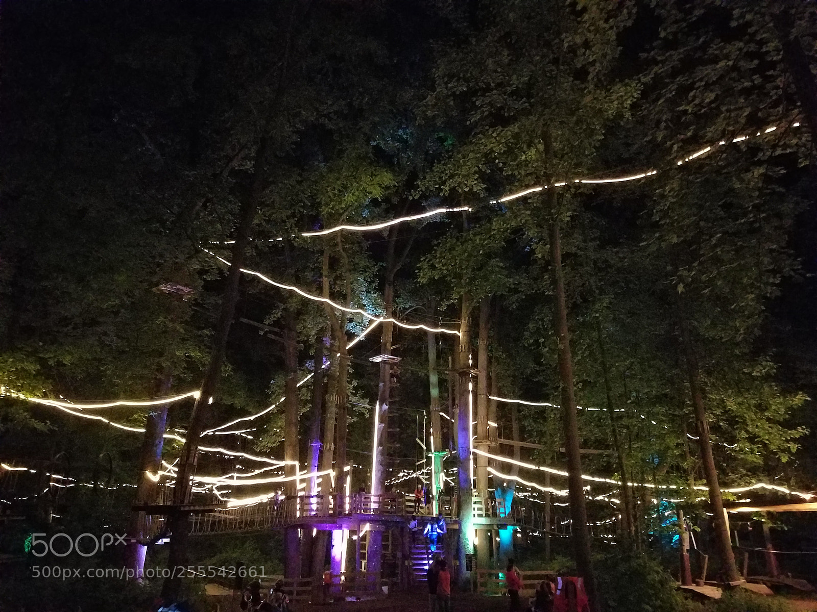 Samsung Galaxy S7 Edge sample photo. Nighttime zipline photography