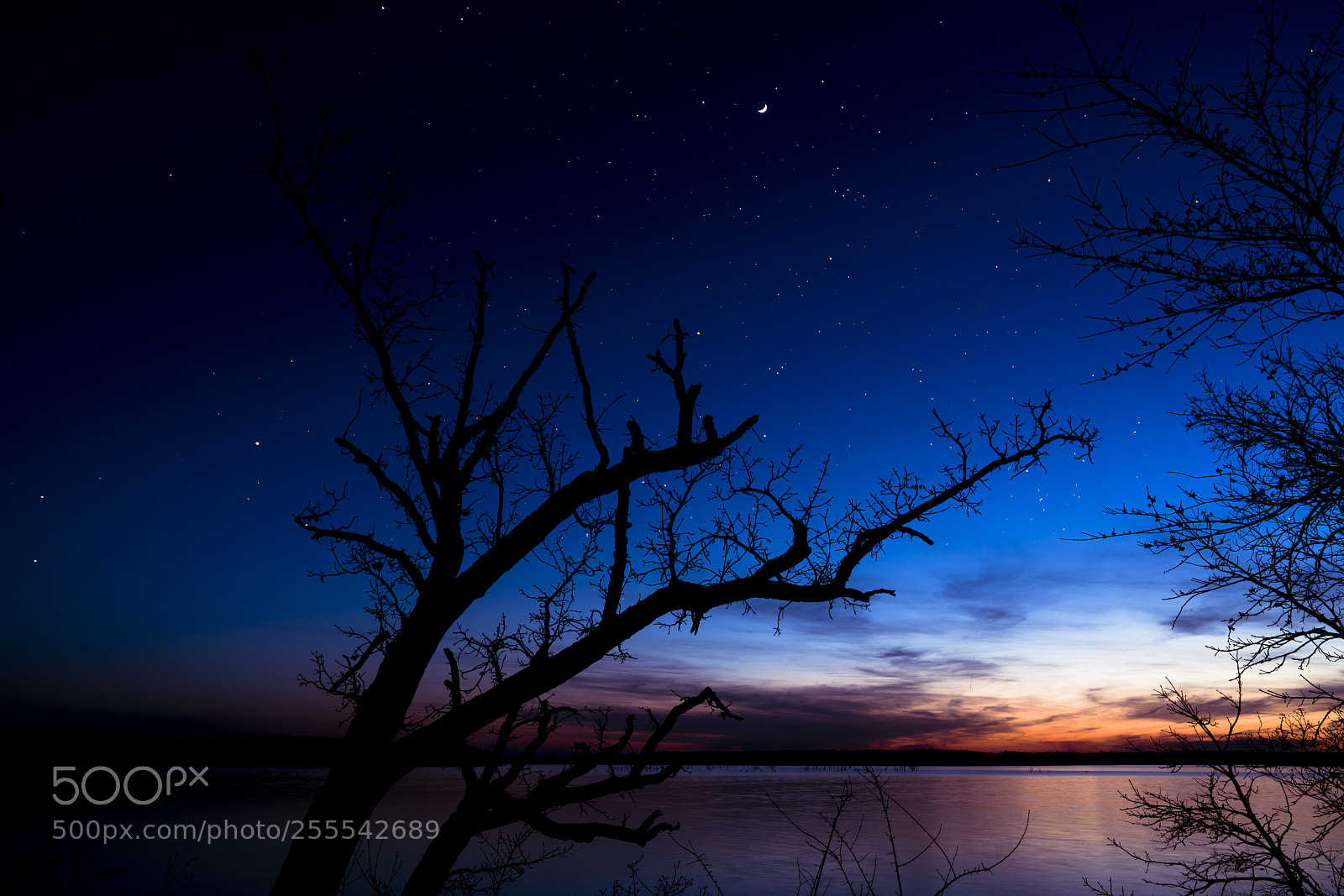 Sony a7R II sample photo. Lakelightcolor photography