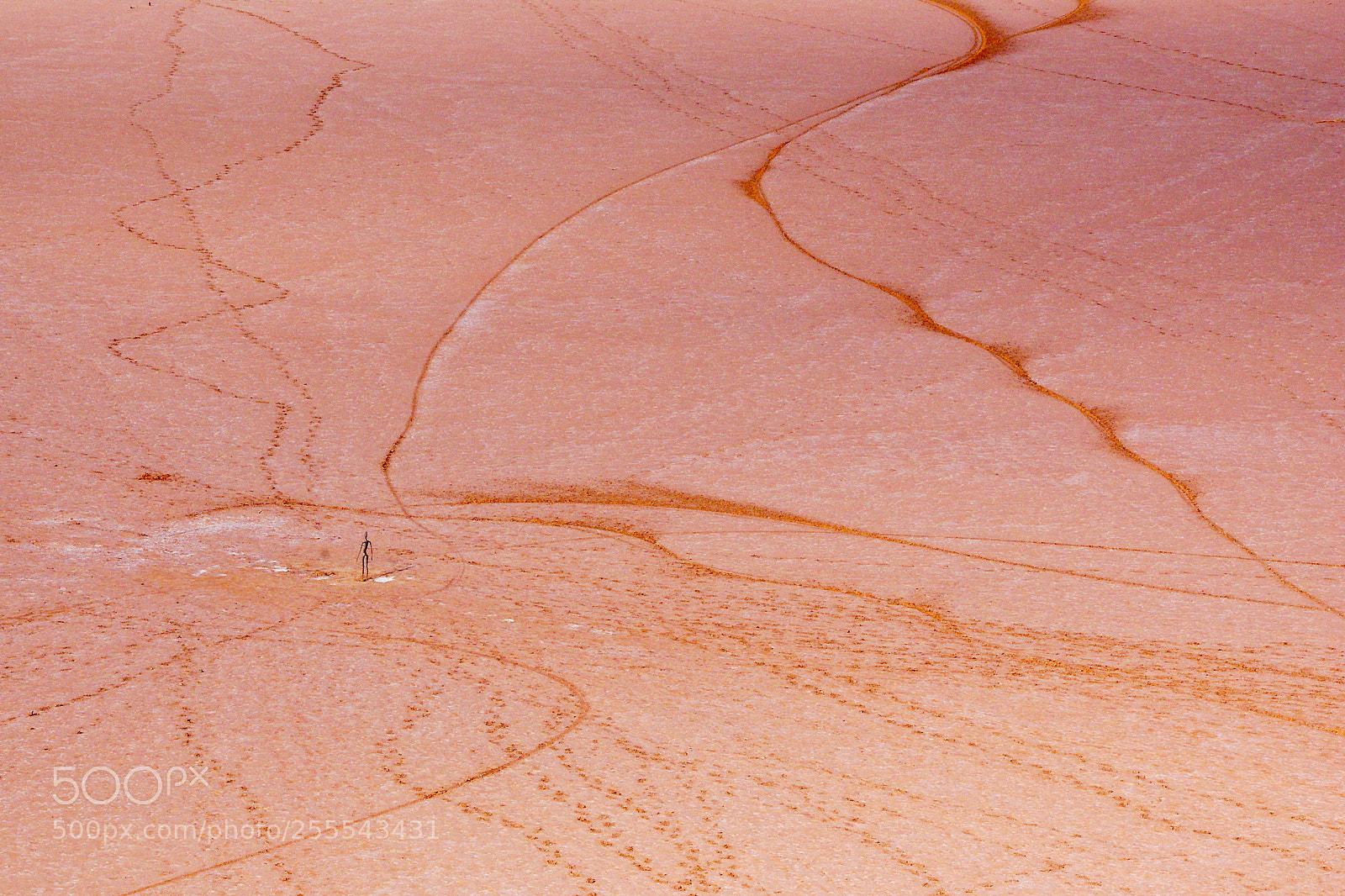 Pentax K200D sample photo. Patterns on a salt photography