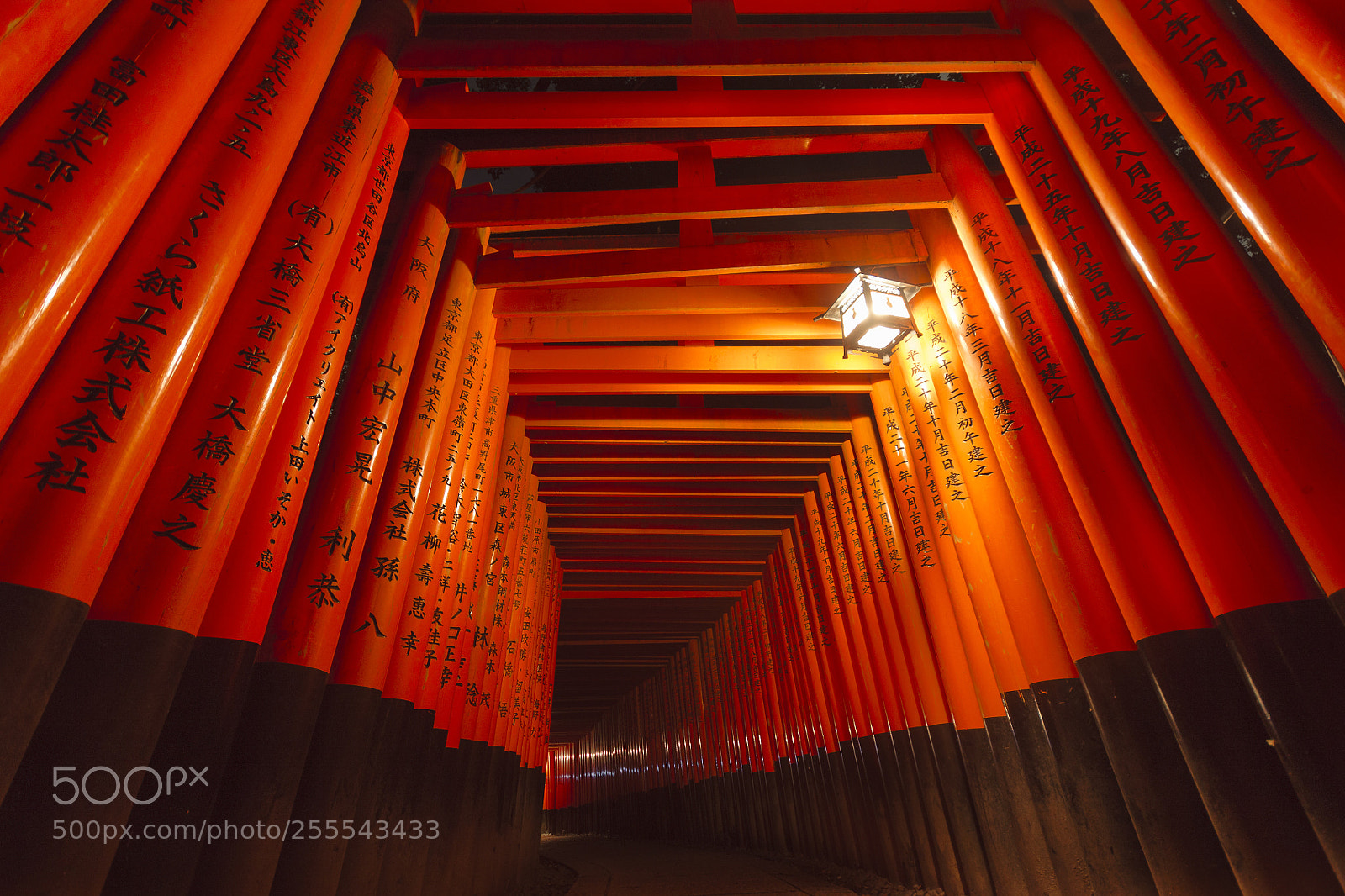Canon EOS 450D (EOS Rebel XSi / EOS Kiss X2) sample photo. Torii at fushimi inari photography