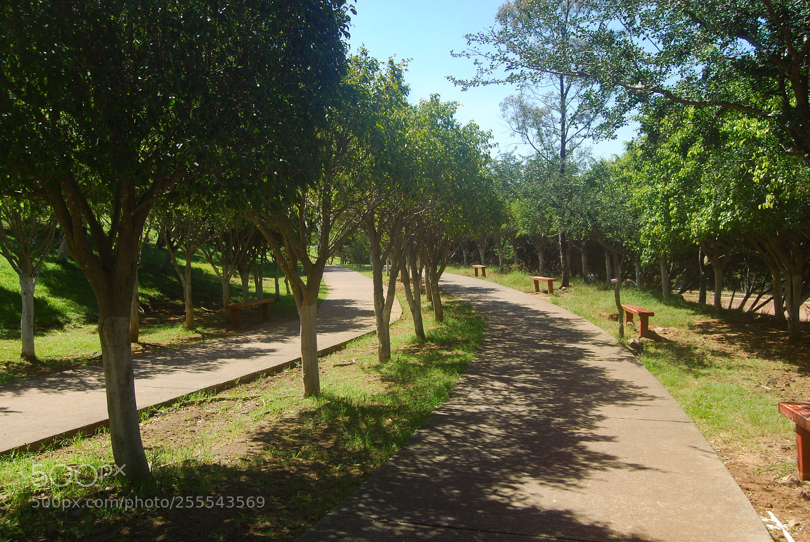 Nikon D40X sample photo. Long away photography